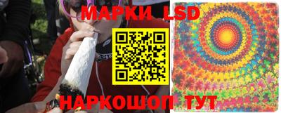 амф Кингисепп