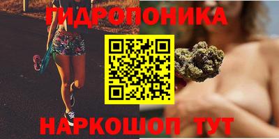 скорость Кимры