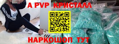 амф Кингисепп