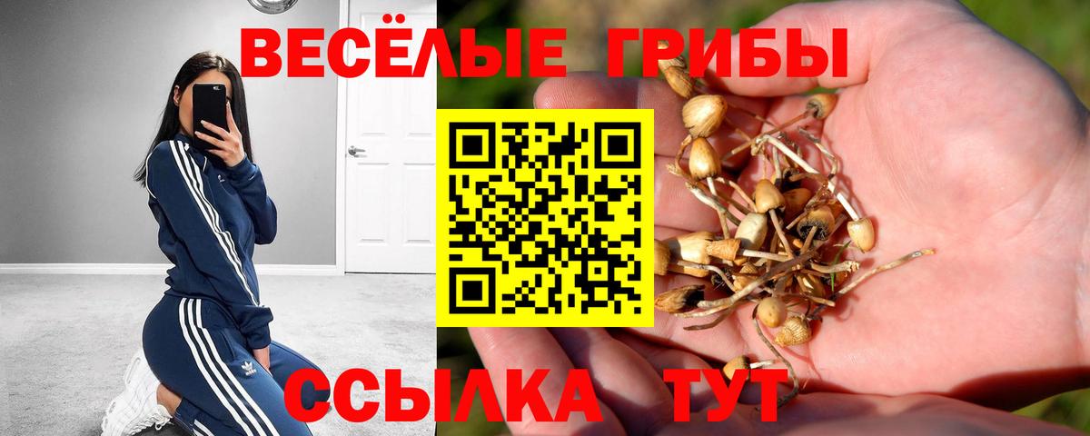 Псилоцибиновые грибы Psilocybe  Вход с VPN  Губкин 